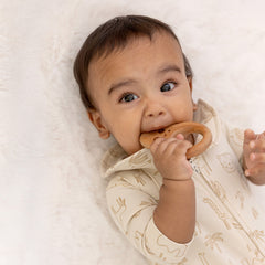 Playful Paws β Neem Wood Baby Teether Combo