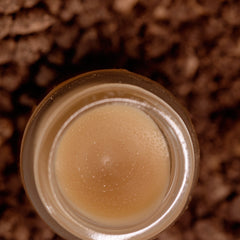 Momify Choco Glow Organic Lip Balm