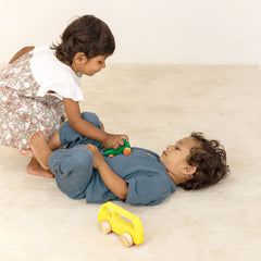 Sunny Van  - Wooden yellow van